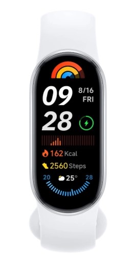 Pametna zapestnica Xiaomi Smart Band 9 srebrna